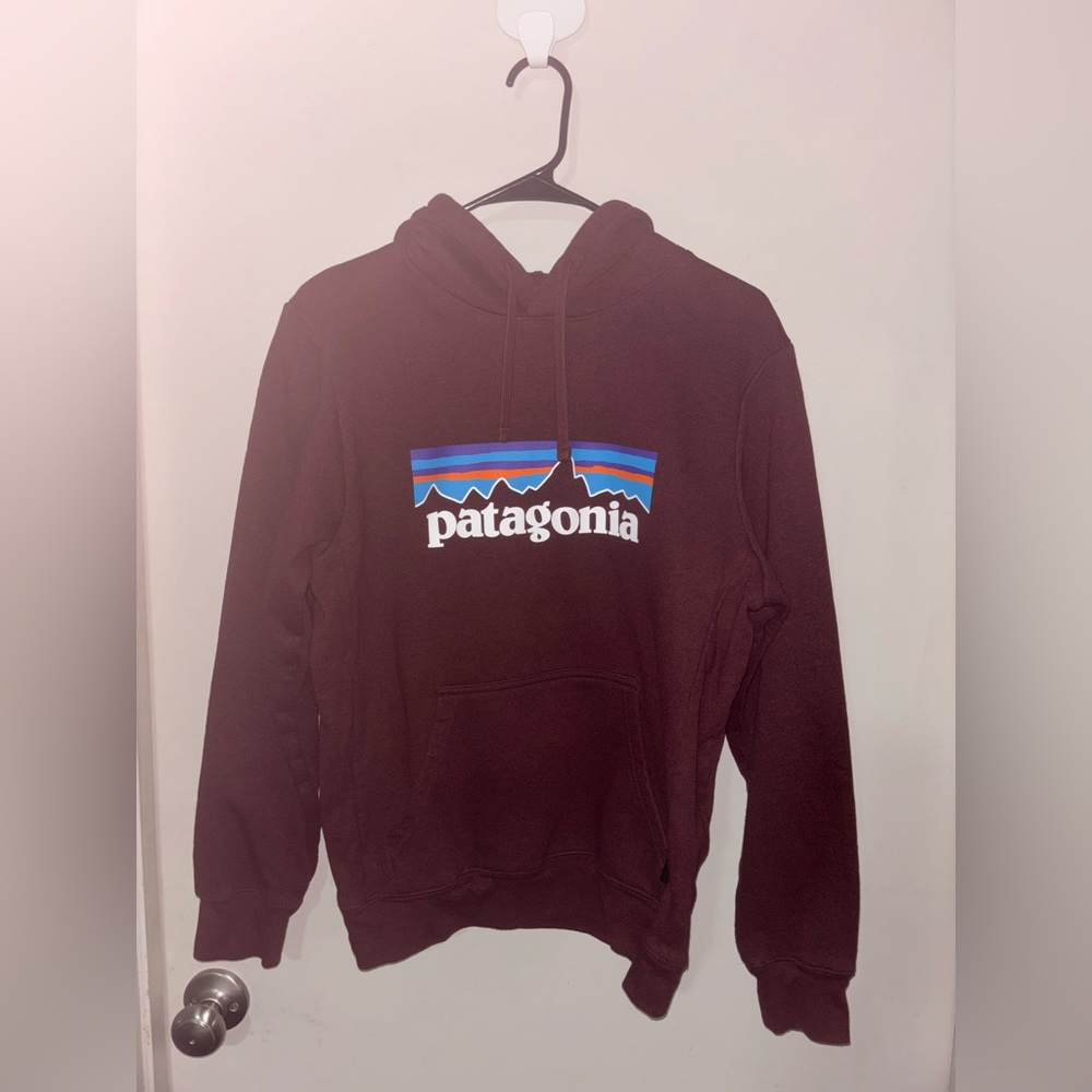 Patagonia Men's Maroon Hoodie